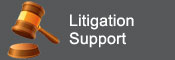 litigation_support